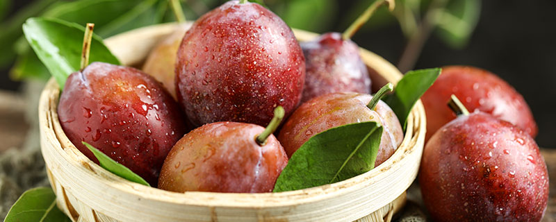 plum是什么水果 plum表示什么水果